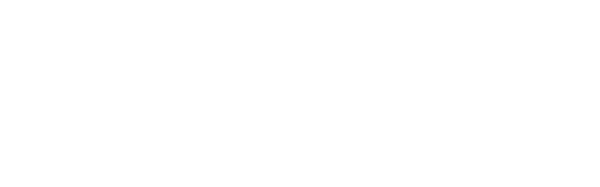 Saster